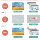 라이펙스 이미지