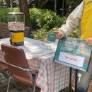 신바람 하모니카 이미지