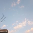 파리바게트은행대우
