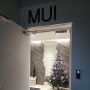 (주)윤디자인연구소 | 삼성역미용실 무이 레이어드컷 C컬펌 솔직후기(윤디자이너)