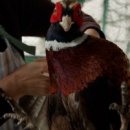 영조농장 이미지