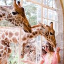 호텔마블 이미지