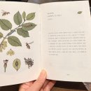 사주로 배우는 삶의 지혜 | 형의 쌀롱 6_ 서울 선릉 _ 독립서점, 최인아 책방에서 <<나무 같은 사람이 되고 싶다>>를 읽다