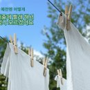 백양크리닝 이미지