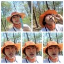 가온누리한의원 | [폐경 갱년기 유산균 추천] 소화불량, 변비, 갱년기 증상 해결해준 닥터블루프로바이오틱스 추천해요!!