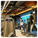 청년헬스 도계점 | 도계동PT 덤탱이 당하지 않는 기본 상식 2가지