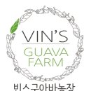 빈스구아바농장 네이버블로그