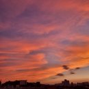 와이엘바이오 이미지