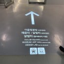 ★구찌 가든 아키타이프 : 무료전시회 동대문디지인플라자(DDP)★ 가기전 중요한 팁!
