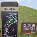 경주시티투어(cm투어) / 경주 in 2025
