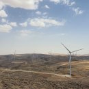 필라케미칼 이미지