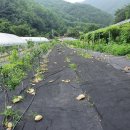 활기리마을회관 이미지