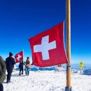 ㈜동화항공여행사 | 파리 스위스 신혼여행 6박8일 일정 경비 후기 ♥