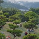 강산장묘 - 중구 도화골4길 2 | 강산장묘