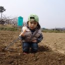 학전농장 이미지