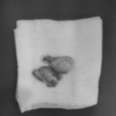 문정탑동물병원 이미지