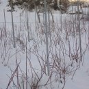 꿈꾸는 농장 이미지