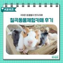 칠곡동물체험카페 네이버블로그