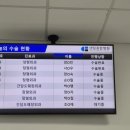 부산센텀종합병원 무지외반증 수술후기(비용, 경과 등)