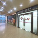 대전애견미용학원 이미지