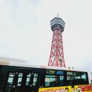 버스터미널4거리 털보의류 | 일본 후쿠오카 3박4일 일정 경비 교통비 4월 날씨