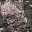 영주오토바이