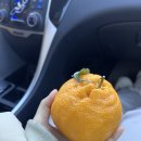 마라하오원주점