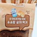 멍스 | 덕개의 멍스테라 구매 후기 GS25 편의점 디저트 빵 신상 리뷰