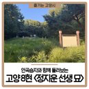 정지운선생묘 이미지