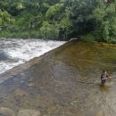 반딧불민박 이미지