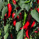 재희농장 이미지