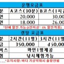 와이와이씨