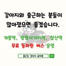 출근길 강아지 유치원 이미지