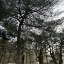 UR(의정부시)-[평화로]-하-49 | [서울 도봉] 서울 근교 글램핑(BBQ포함) : #피카푸피크닉앤글램핑 YMCA도봉산점 #글램핑