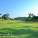 김해 정산 CC 이미지