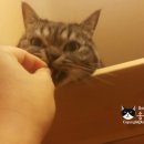 호텔구구 이미지