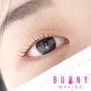 합정속눈썹 찾다가 방문한 버니왁싱&amp;속눈썹 망원점 후기