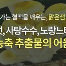 고려건강식품 이미지