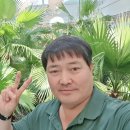 쌈도둑 이미지