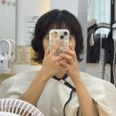 메종드헤어0403 - 중구 명동4길 28 | 산본미용실 메종드헤어0403 상한머리 클리닉 손상모 회복!