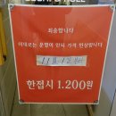크로커다일춘천