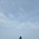 이호테우 비치해변 | 제주 이호테우해변 후기 | 공항 근처 숨은 바다 명소