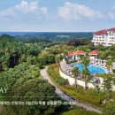 신라카써비스 이미지