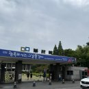 부산박물관 | 부산박물관 메타세콰이아 테라스 방문 후기(부산 볼거리 추천)
