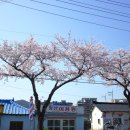 웅천 소류지 이미지