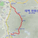 7월 25일 토요당일 -＜블야명산100+＞- 태백 연화산+구와우마을 해바라기 산행 신청안내 이미지