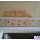 뚜꺼비 PC 네이버블로그