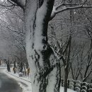 잔트가르