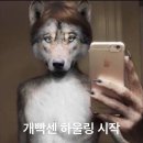 석관고등학교 | 스무살의 봄