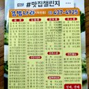 김밥나라 이미지